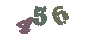 كود التأكيد